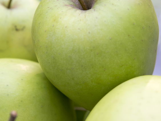 Kleuren proeven: Wat is synesthesie precies?