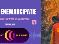 Mannenemancipatie als tegengeluid de manosphere