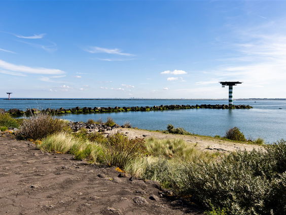 De Noordzee twee diersoorten rijker, maar niet direct goed nieuws