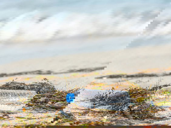 Vrijwilligers brengen afval op het strand in kaart