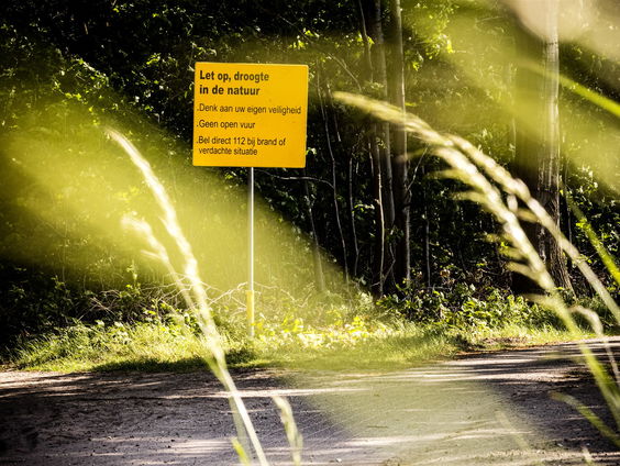 Natuurbranden in Nederland steeds reëler door klimaatverandering: 'Zou grote impact kunnen hebben'