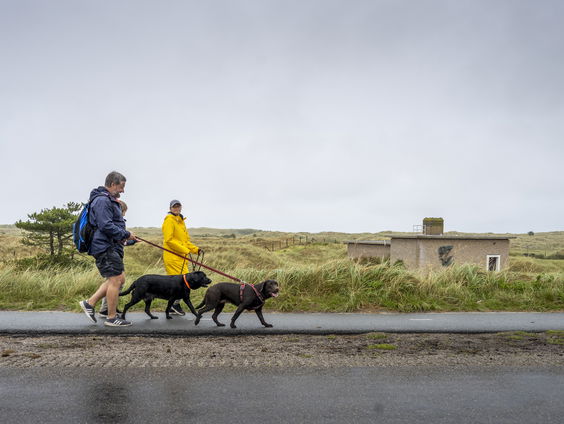 Is de aanlijnplicht een goede oplossing om (bijt)incidenten met wolven te voorkomen?