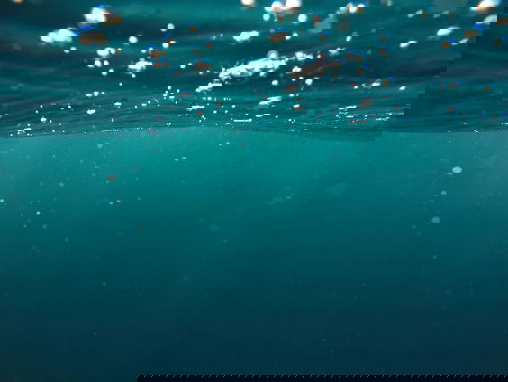 Lees BV: wat gebeurt er als Nederland onder water stroomt?