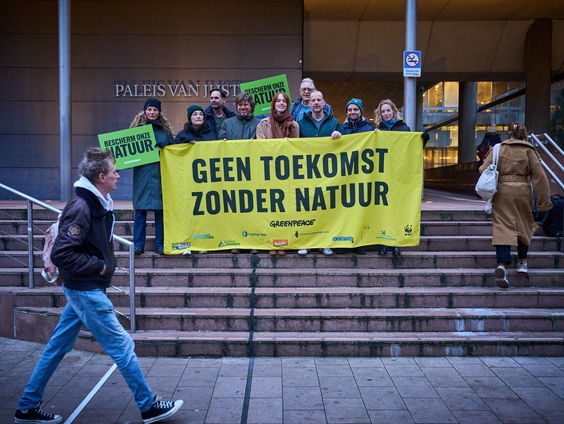 Rechter geeft Greenpeace gelijk in stikstofzaak: en nu?