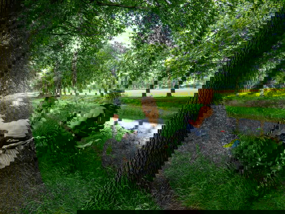 Het Pieterpad wordt rolstoelvriendelijk door het werk van Expeditie Pieterpad