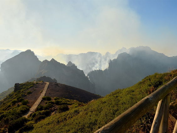 'Praat tegen jezelf als een kleuter om je angsten te beteugelen'