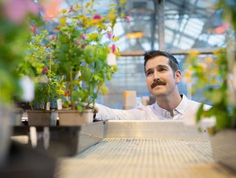 Onderzoek naar het geheim achter bloempatronen