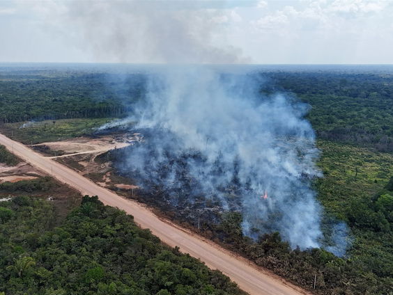 Uitgelicht: Brazilië in de ban van 'carbon cowboys'