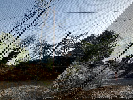 Avifauna krijgt nieuwe gierenvallei