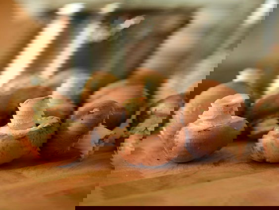 Feit of Fictie: Is Nederland vooraanstaand in de champignonsector?