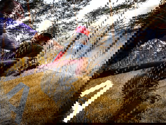 ‘We kunnen jullie niet redden’ — hoe Nederland zich voorbereidt op grote natuurbranden