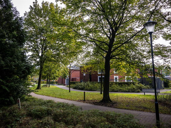 Psychiatrische instellingen verdwijnen uit het bos