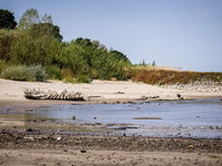 Rivierjournalist Wim Eikelboom over de laagste waterstand ooit in Nederland