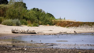 Rivierjournalist Wim Eikelboom over de laagste waterstand ooit in Nederland