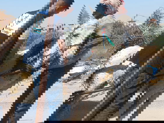 Animal Heroes geeft noodhulp aan dieren in Gaza