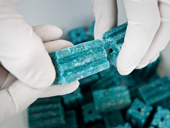 Stand.nl: 'Ratten moeten op alle mogelijke manieren bestreden worden'