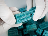 Stand.nl: 'Ratten moeten op alle mogelijke manieren bestreden worden'