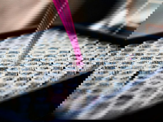 Zaad- en eicellen kweken: Moeten we dat willen?