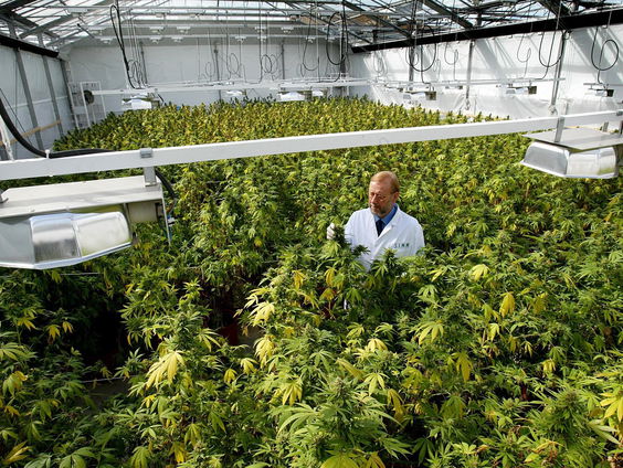 Nieuwe documentaire laat de rol van Nederland in de drugswereld zien