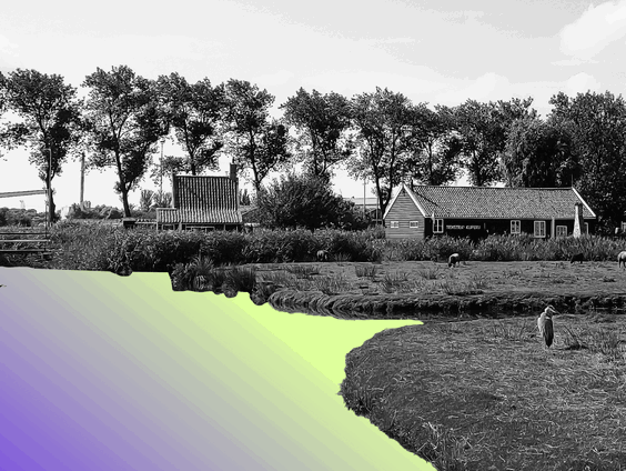 Verboden maar toch gevonden: bestrijdingsmiddelen in het oppervlaktewater