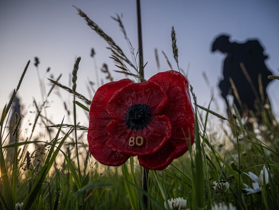 D-Day tachtig jaar geleden