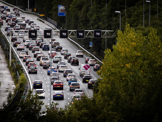 De rol van je brein in het verkeer: 'Rijden gebeurt op automatische piloot'