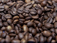 Hoe de Javaanse koffieboon Nederland heeft gevormd