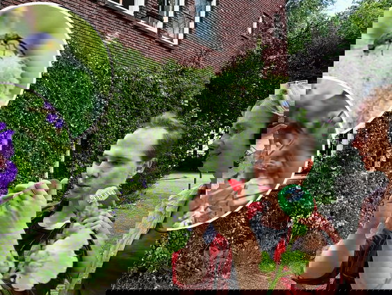 Ook kleine geveltuintjes maken een groot verschil