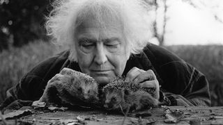 Het persoonlijke werk van Jan Wolkers in het Zeeuwse Kruiningen