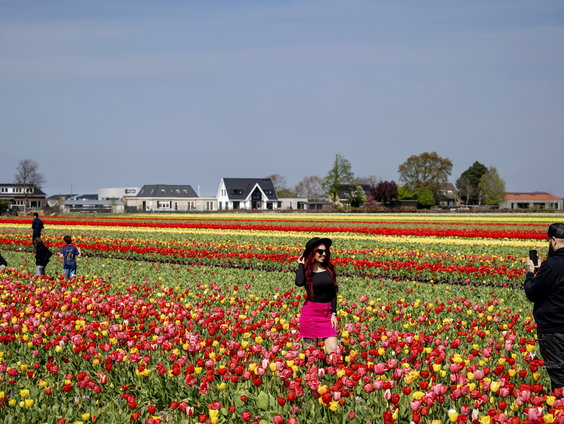 'Flower Liners' om bloembollenvelden te beschermen