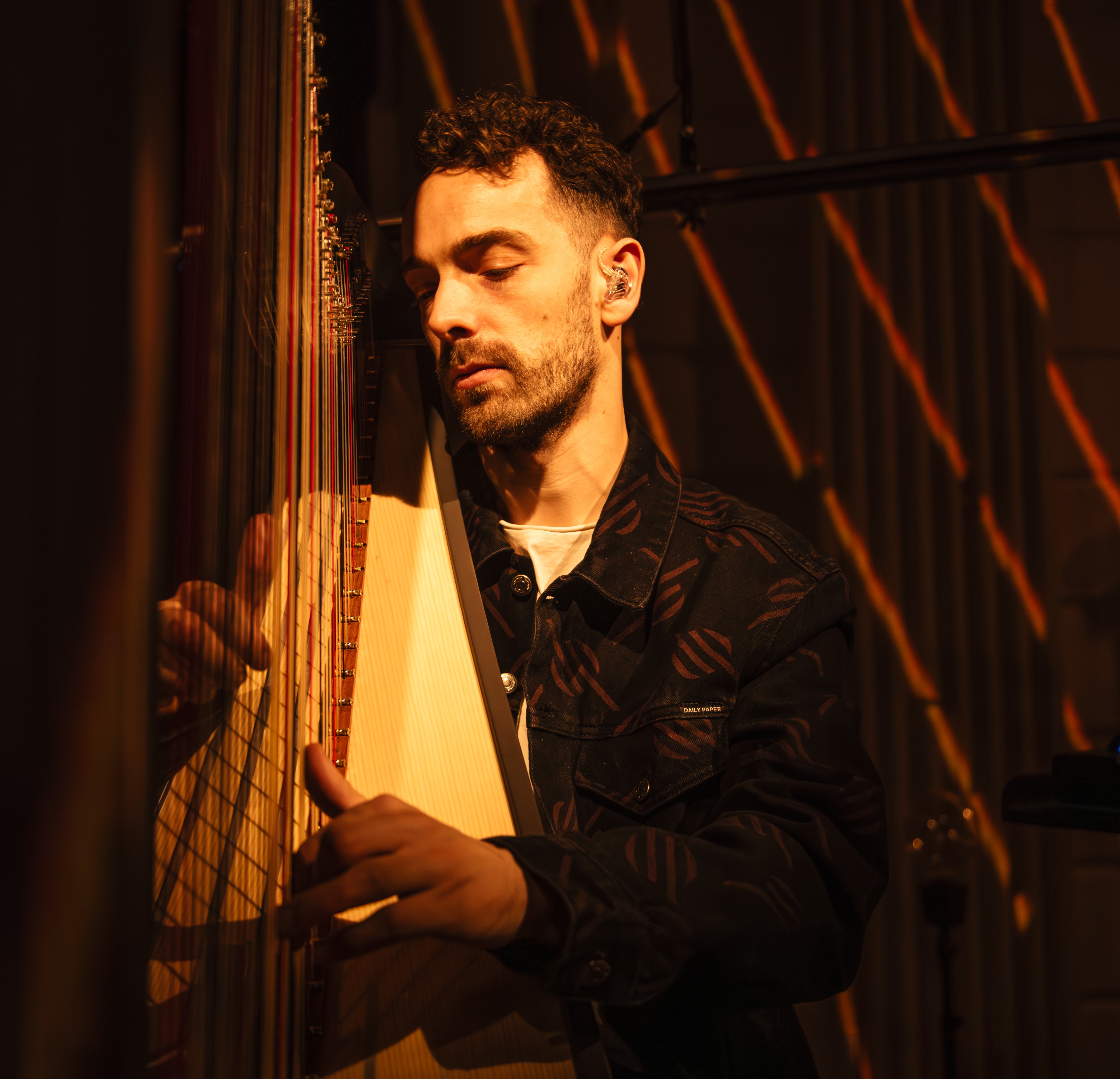 Remy van Kesteren, harpist