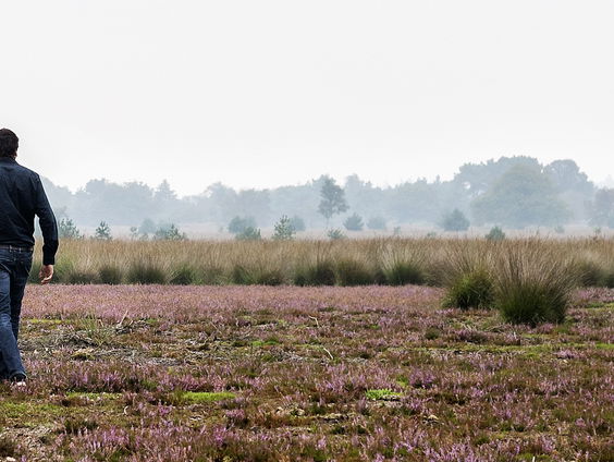 Kun je het nieuwe 'Van Gogh Nationaal Park' wel een nationaal park noemen?