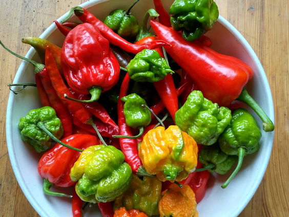 Huisvriend Raghenie Bhawanie over pittig eten