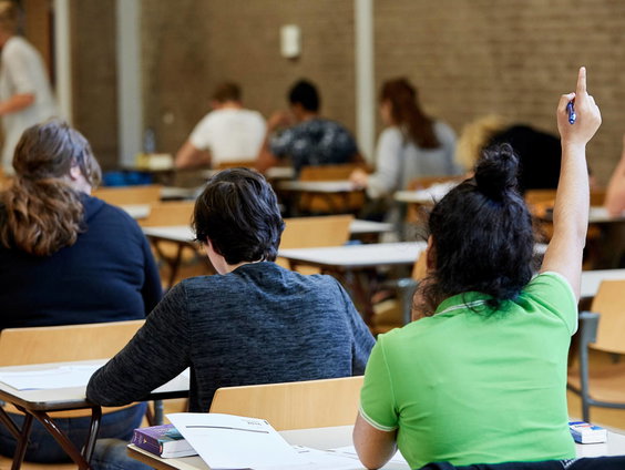 Waarom scoren eindexamenleerlingen op de havo al jaren het slechtst?