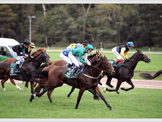 Reddingsplan Duindigt loopt vast in Wassenaarse politiek
