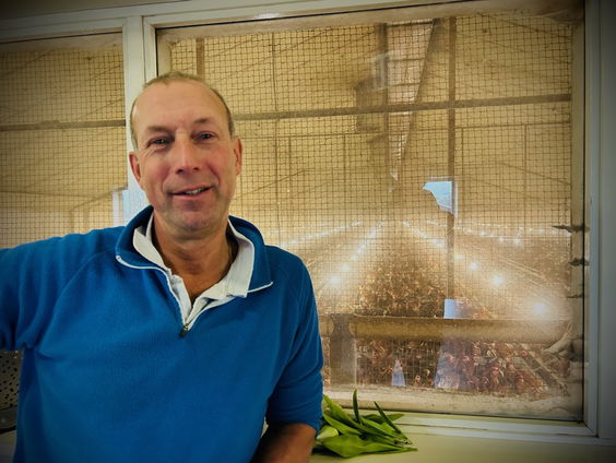 'Er zit geen voorspelbaarheid in': kippenboer Theo is bang voor vogelgriep