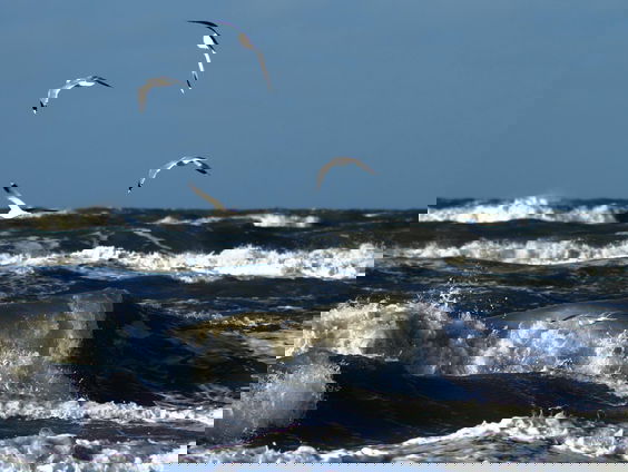 In gesprek met de Noordzee
