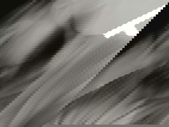 Fitfluencers en cryptoboys: de Nederlandse ‘manosphere’ in kaart gebracht