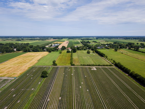 Provincie Overijssel komt met strengere maatregelen voor pesticidengebruik