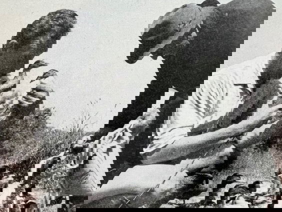 70 jaar natuur op de radio