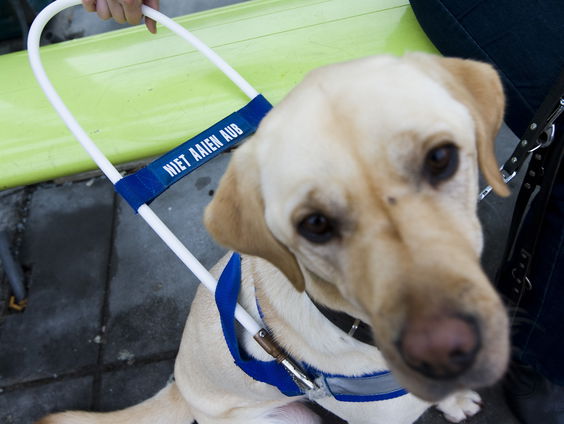 Uitzendbureau CTalents helpt dove en blinde mensen aan het werk