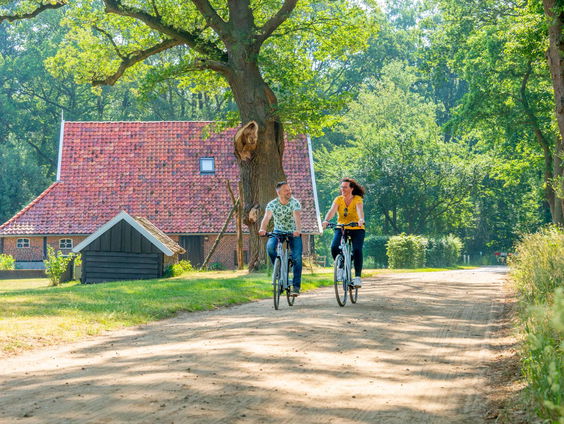 Achterhoekse fietsroute 'Ode aan het landschap' genomineerd voor beste route van het jaar
