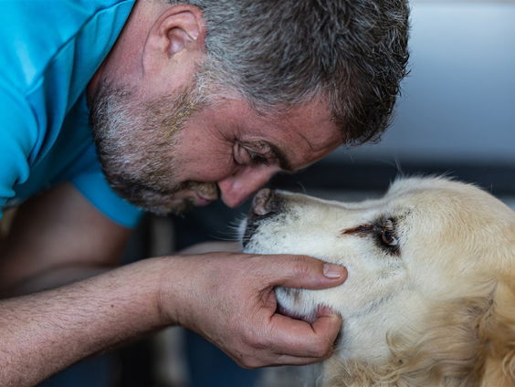 Naar de dierenarts in Turkije voor een neuscorrectie van je hond