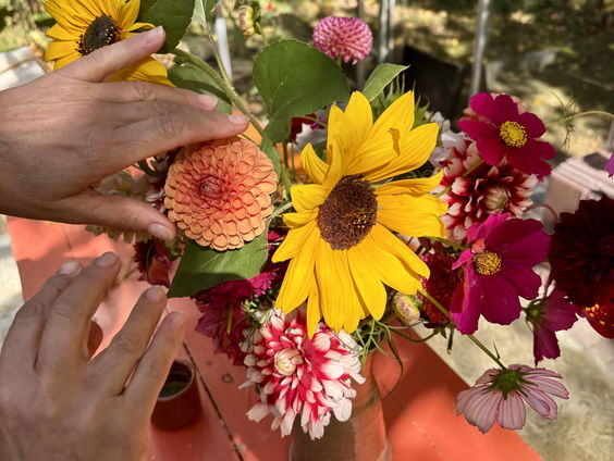 Van kleine kiem tot bijzonder boeket