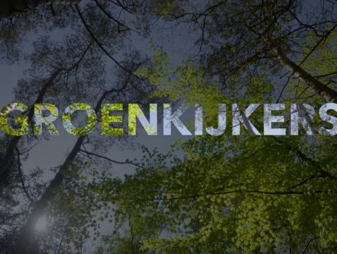 'Groenkijkers' tuigt monument op voor micro-natuurbeschermer