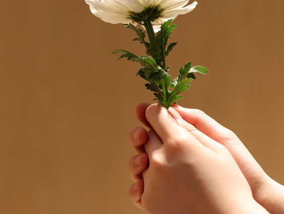 Op een waardige manier sterven