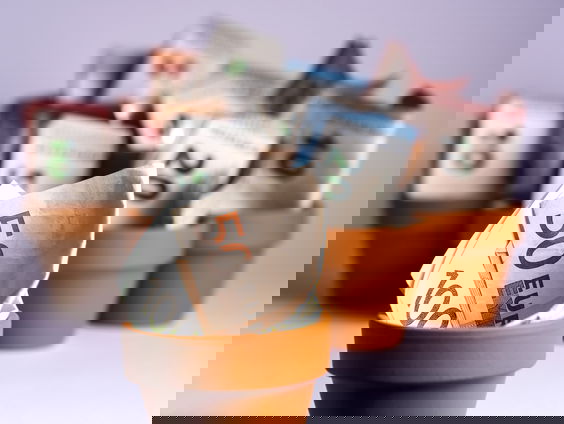 Waarom sparen Nederlanders graag en veel?