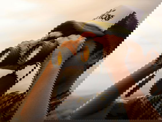 Vogelaar Tijmen Majoor wist niet wat hij zag: 'Is dat nou een vale gier?!'