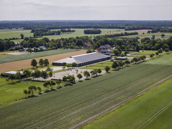 Is de lelieteelt een gevaar voor de gezondheid?