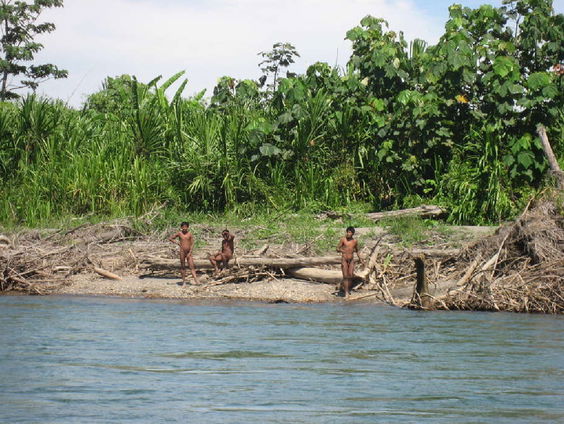 Houthakkers gedood door aanval met pijl en boog door inheemse stam